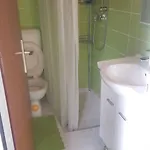 Sa Bazenom Mz * Pale