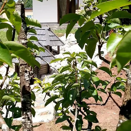 Apartamento Sa Bazenom Mz